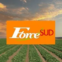 FORCE SUD logo