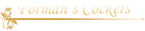 FORMAN logo