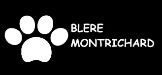 SOCIETE D'EXERCICE LIBERAL DE VETERINAIRES YVAN COCHIN - LAURE REYNAUD - AGATHE CHAUVIGNE logo
