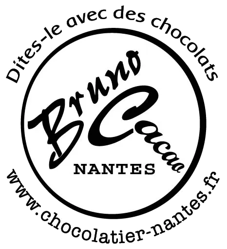 BRUNO GUILLARD CHOCOLATIER logo