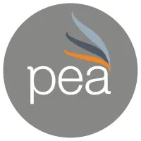 PATRIMOINE ENTREPRISE ET AUDIT (PEA) logo