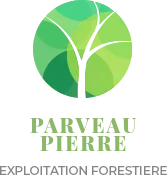 PARVEAU PIERRE logo
