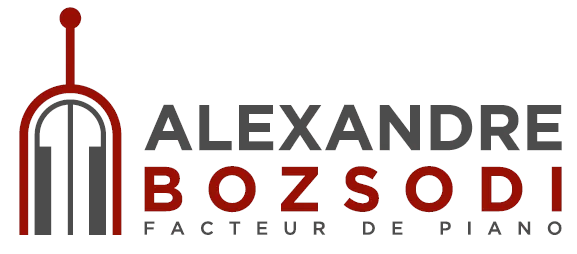 BOZSODI ALEXANDRE logo
