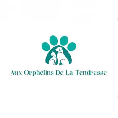 AUX ORPHELINS DE LA TENDRESSE logo
