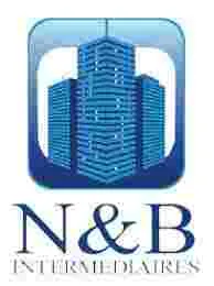 N ET B INTERMEDIAIRES logo