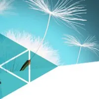 COPARTIS logo