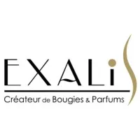 EXALIS logo