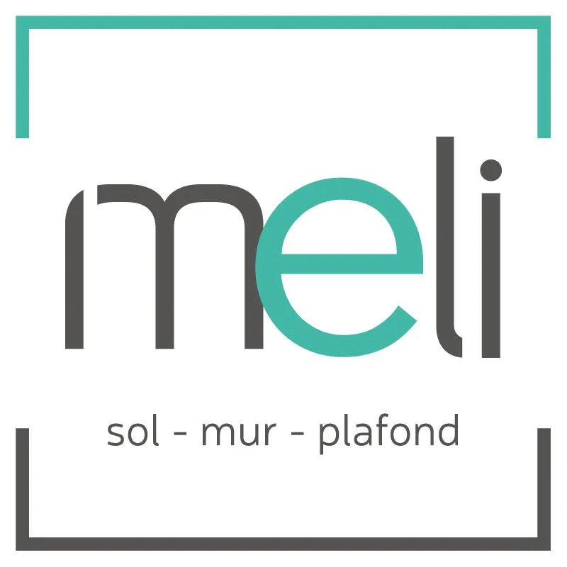 SOCIETE MELI logo