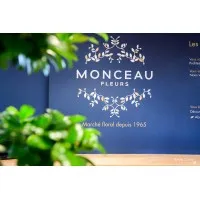 MONCEAU FLEURS DEVELOPPEMENT logo