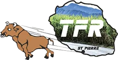 Voici le logo de la marque TECHNIQUE FREINS REUNION (TFR) qui représente son identité graphique.