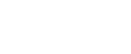 DORN STEPHANE logo