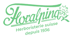 AMYFLOR (FLORALPINA) logo