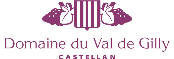DOMAINE DU VAL DE GILLY logo
