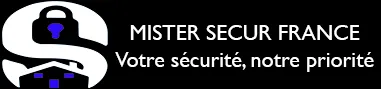 NET SYSTEMS  NS logo