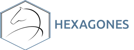 Voici le logo de la marque HEXAGONES qui représente son identité graphique.