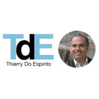 T D E CONSULTANTS logo