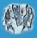 A B L LABORATOIRE DENTAIRE logo