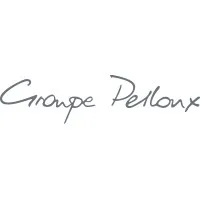 GROUPE PELLOUX logo