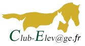 NORMANDIE TROT (NORMANDIE TROT) logo