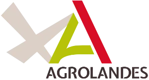 DA SERVICES logo
