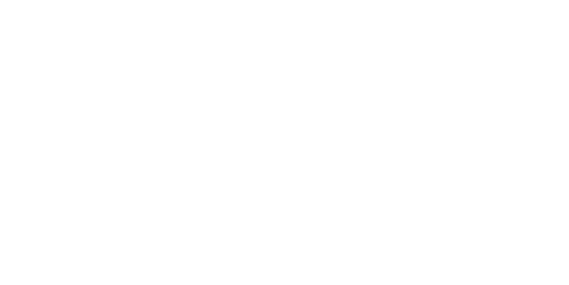 CARRELAGE NUSS logo