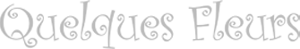 GUILLOTIN NADEGE (QUELQUES FLEURS) logo