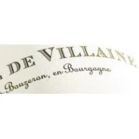 DOMAINE DE VILLAINE logo