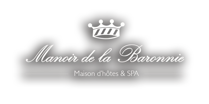 B.S.L. logo