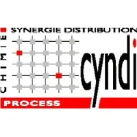 CYNDI PROCESS (CYNDI PROCESS - BRABENDER) logo