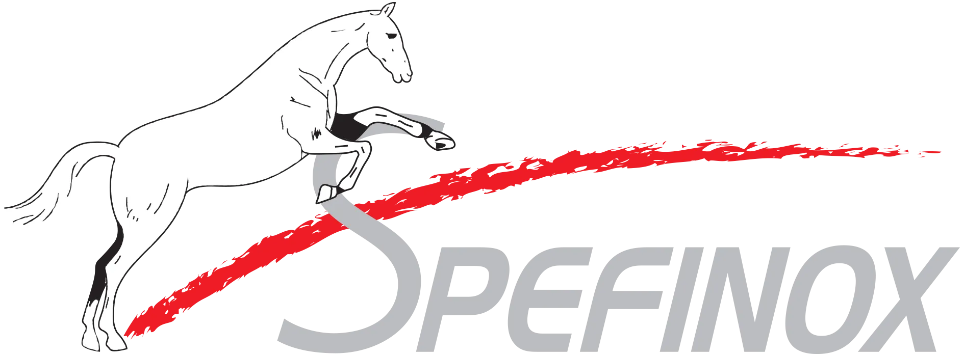 SARL SPEFINOX logo