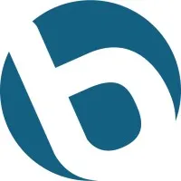 BLUE VISTA logo