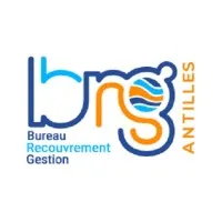 B.R.G. ANTILLES- BUREAU DE RECOUVREMENT ET DE GESTION DES ANTILLES logo