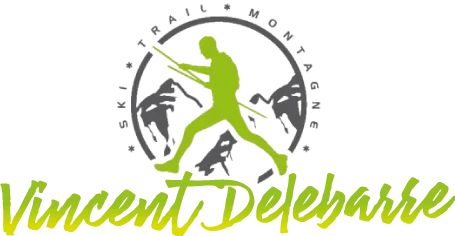 DELEBARRE VINCENT logo