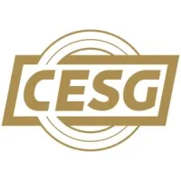 C.E.S.G SAS CONSULTANTS EUROP SECURITE logo