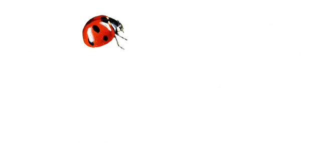 SEV SOIN ET ENTRETIEN VEGETATION (SEV JEAN PASERO) logo
