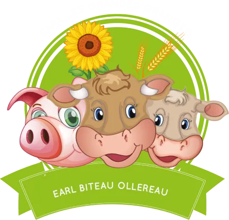 SCEA BITEAU-OLLEREAU logo