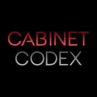 CODE INFO logo