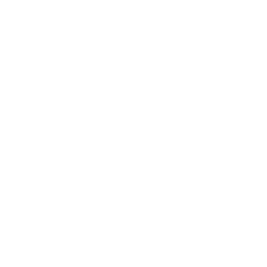LEMOINE ANTHONY logo