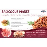 SALICOQUE MAREE logo