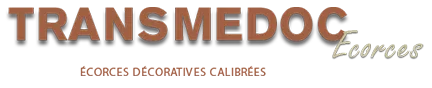 TRANSMEDOC logo