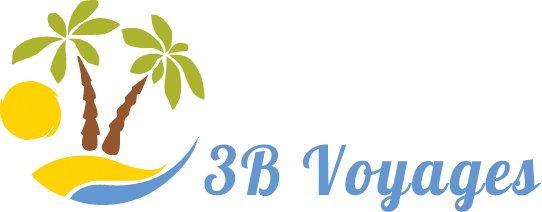 3B VOYAGES logo