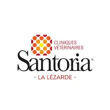 LA LEZARDE logo
