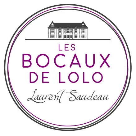 PHYSALIS LSC logo