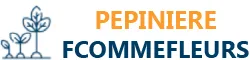 BEMA logo