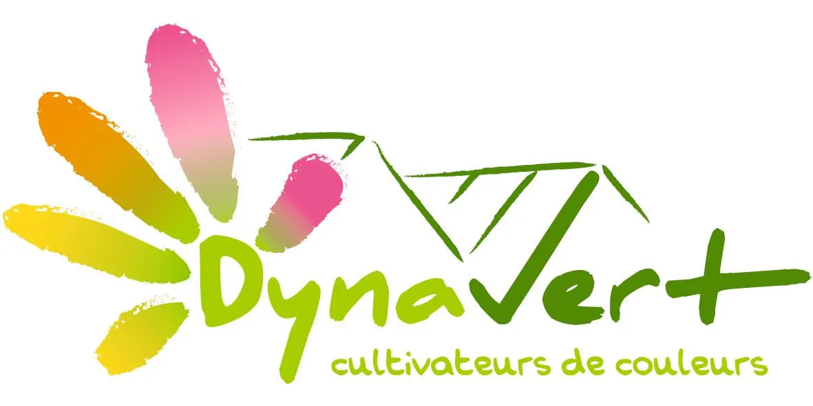 DYNAVERT DIFFUSION logo