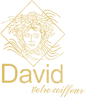 VERDI (DAVID) logo