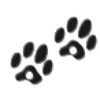 EBSYS logo