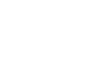 HENRY VALIA logo