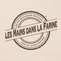 BOUCHE FABIAN logo