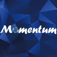 MOMENTUM SERVICES LDT logo